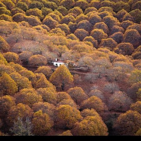 Casa Rural Los Jilgueros Pujerra ภายนอก รูปภาพ